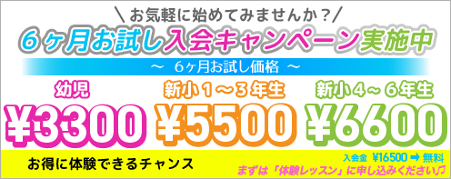 6か月お試しキャンペーン開催中